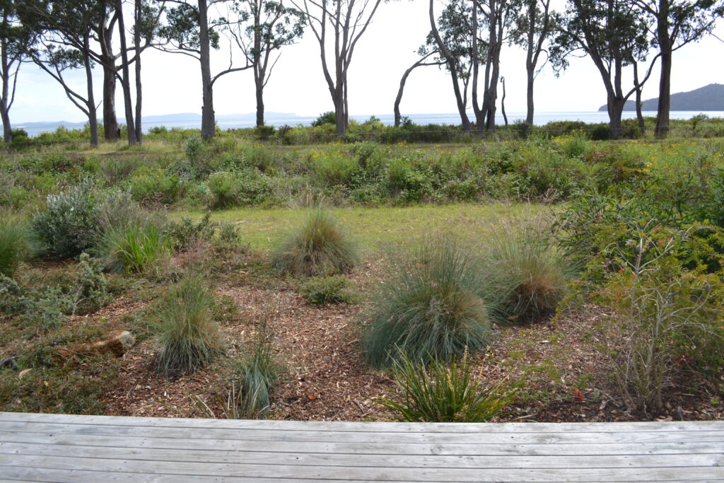 websitephotos 067